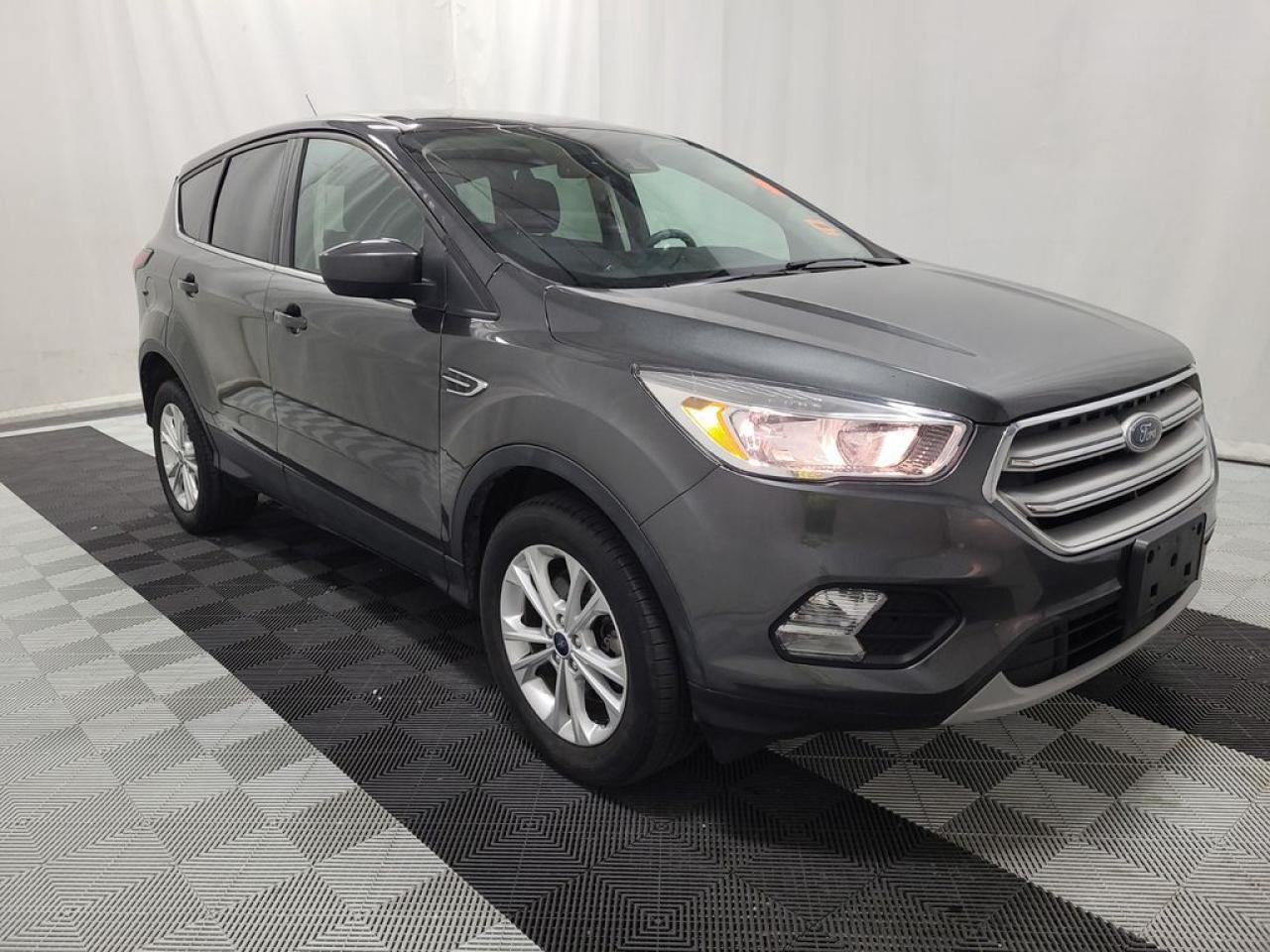 Used 2019 Ford Escape SE for sale in Sherwood Park, AB
