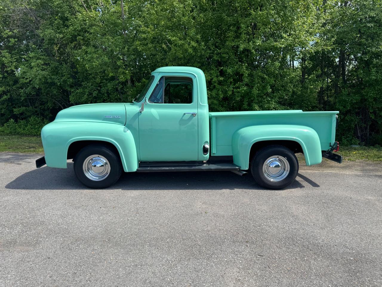 1954 Ford F SERIES F-100 Pick Up - Photo #15