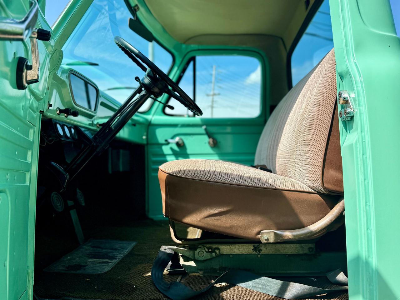 1954 Ford F SERIES F-100 Pick Up - Photo #21