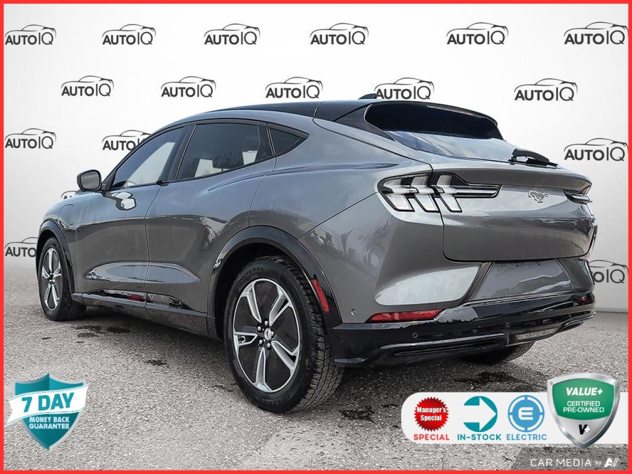 2023 Ford Mustang Mach-E Premium NAV | STANDARD RANGE | KEYLESS ENTRY Photo3