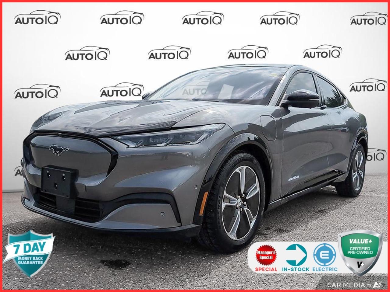 Used 2023 Ford Mustang Mach-E Premium NAV | STANDARD RANGE | KEYLESS ENTRY for sale in Sault Ste. Marie, ON