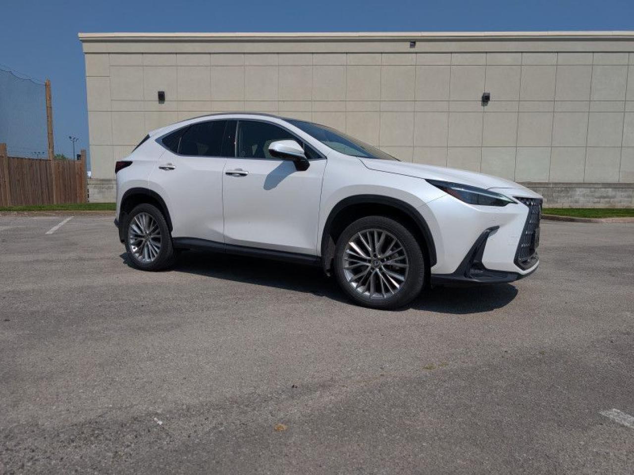2024 Lexus NX 350 Premium  **LOW KMS - 1 OWNER** Photo