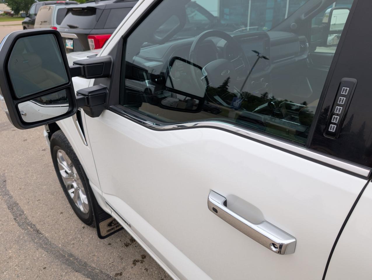 2021 Ford F-150 PLATINUM Photo5