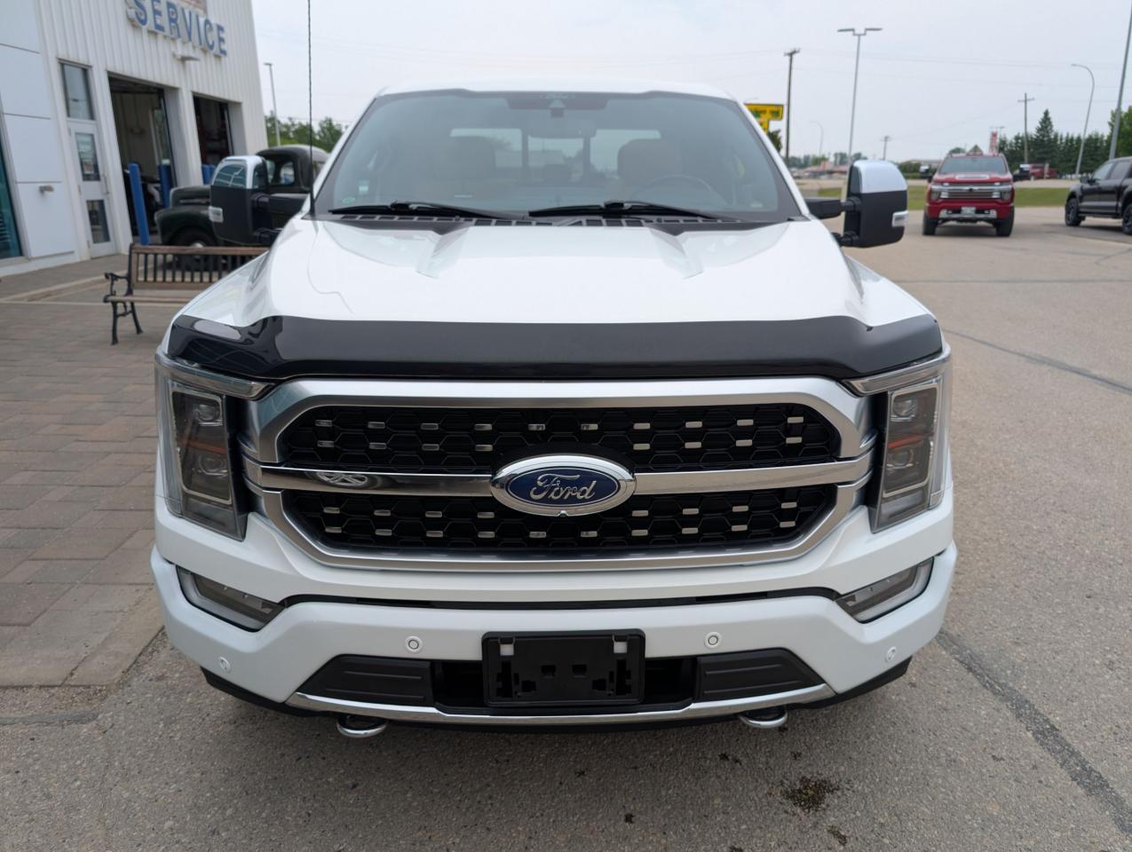 2021 Ford F-150 PLATINUM Photo2