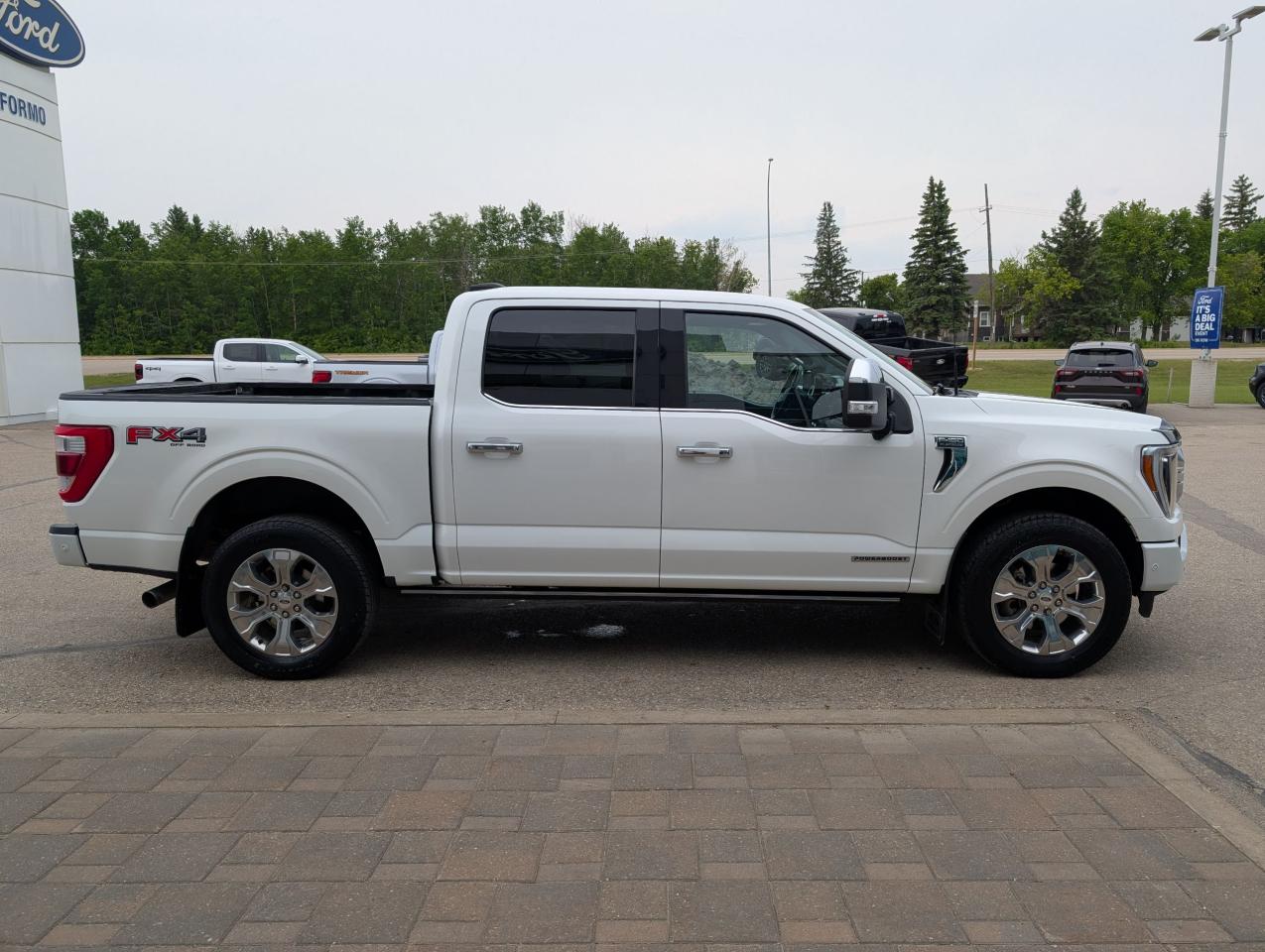 2021 Ford F-150 PLATINUM Photo4