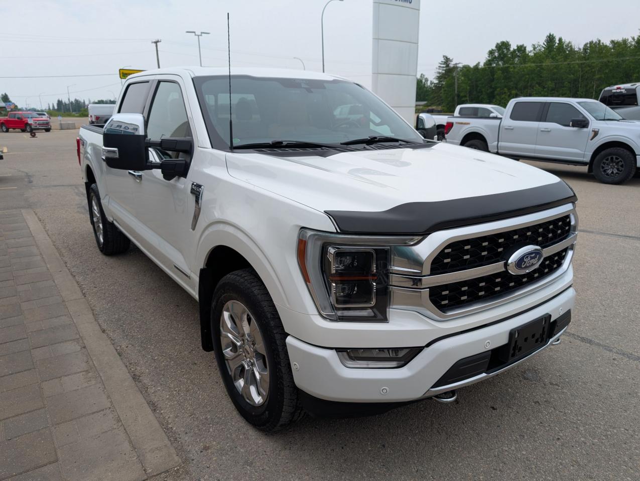 2021 Ford F-150 PLATINUM Photo3
