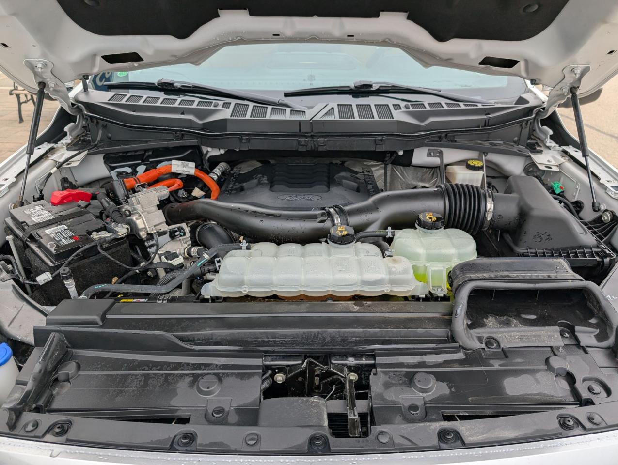 2021 Ford F-150 PLATINUM Photo5