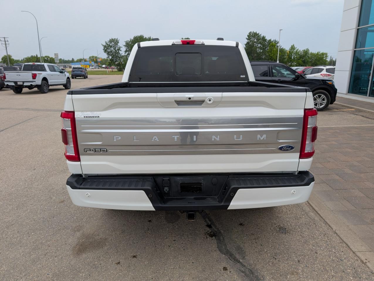 2021 Ford F-150 PLATINUM Photo5