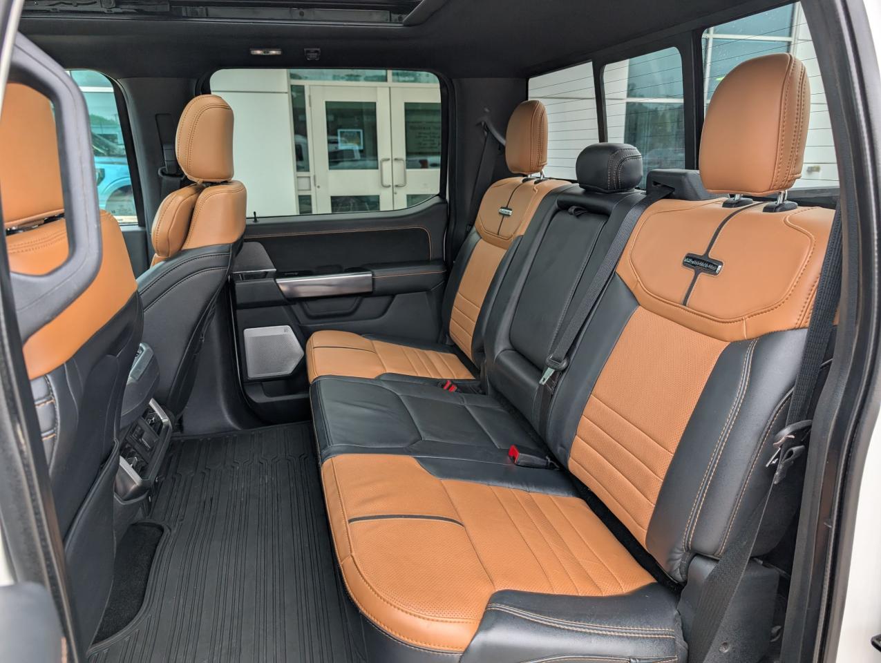 2021 Ford F-150 PLATINUM Photo5