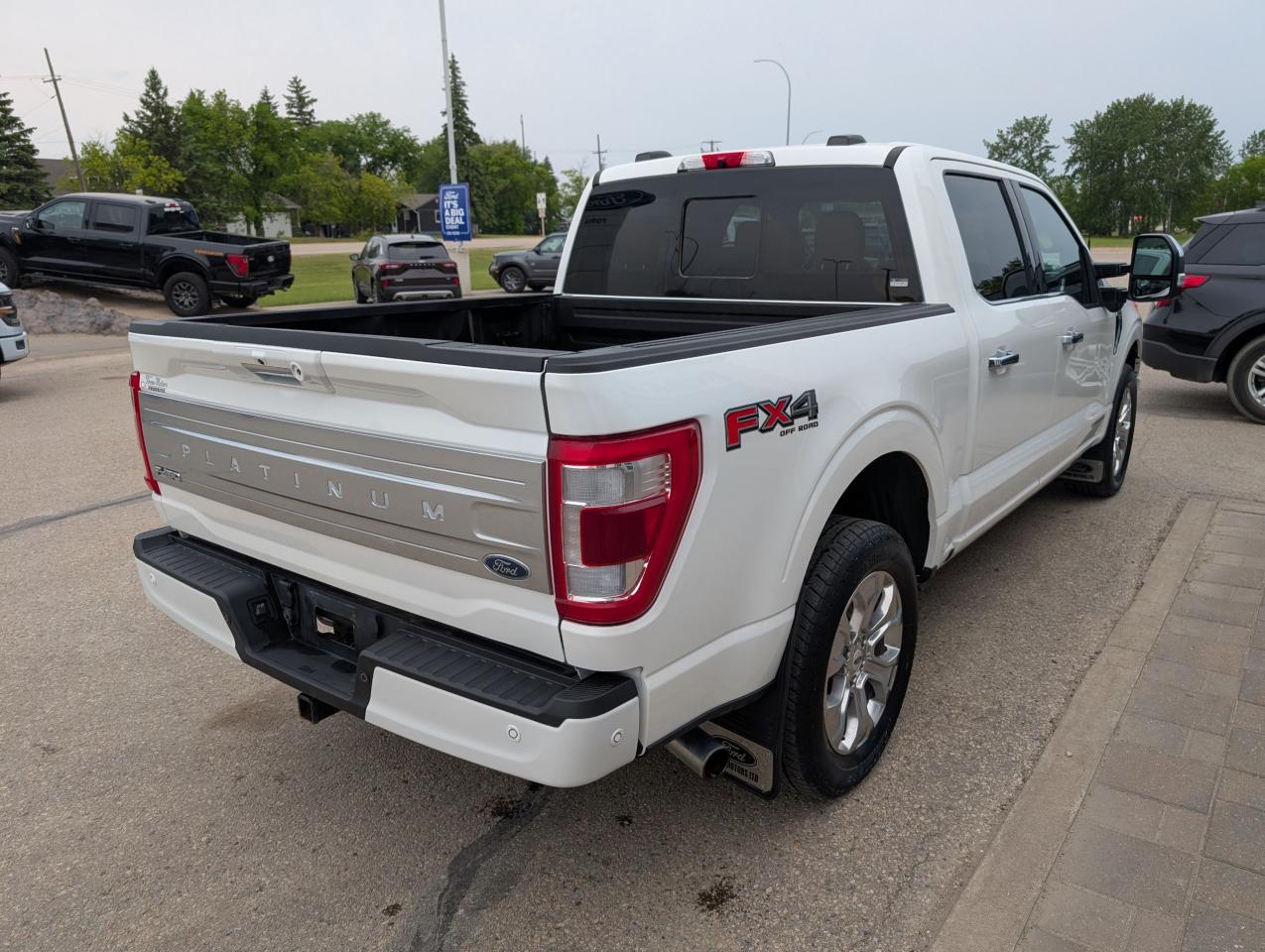 2021 Ford F-150 PLATINUM Photo5