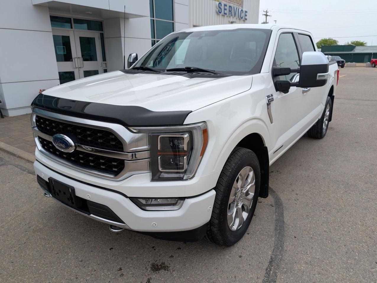 2021 Ford F-150 PLATINUM Photo1