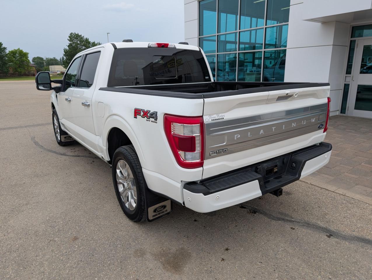 2021 Ford F-150 PLATINUM Photo5