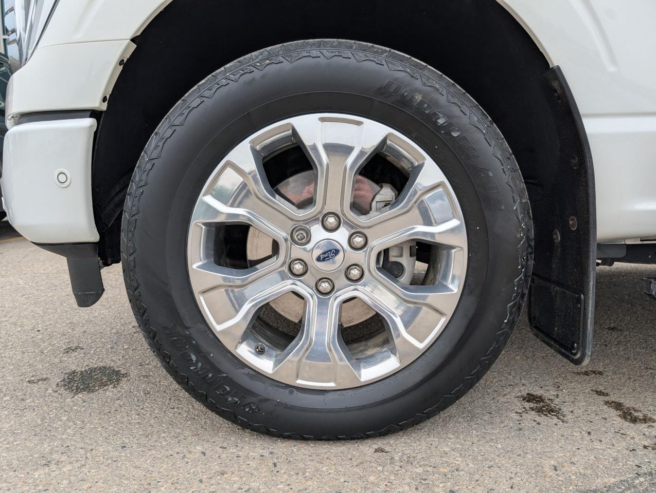 2021 Ford F-150 PLATINUM Photo5