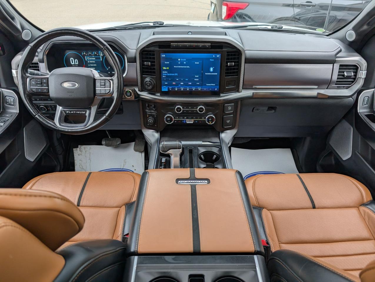 2021 Ford F-150 PLATINUM Photo5
