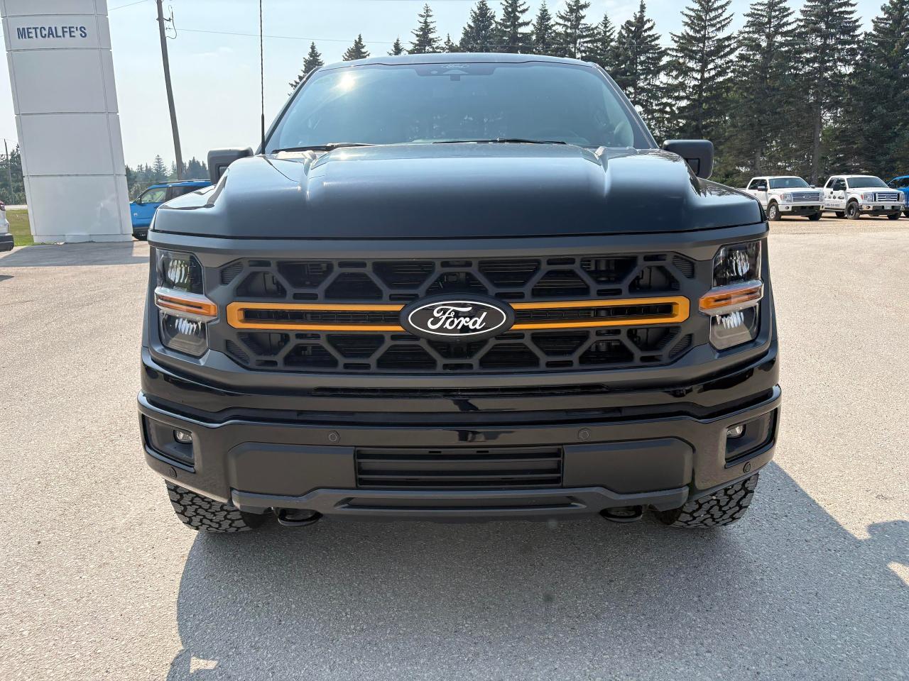 2025 Ford F-150 Tremor 4WD SuperCrew 5.5' Box Photo