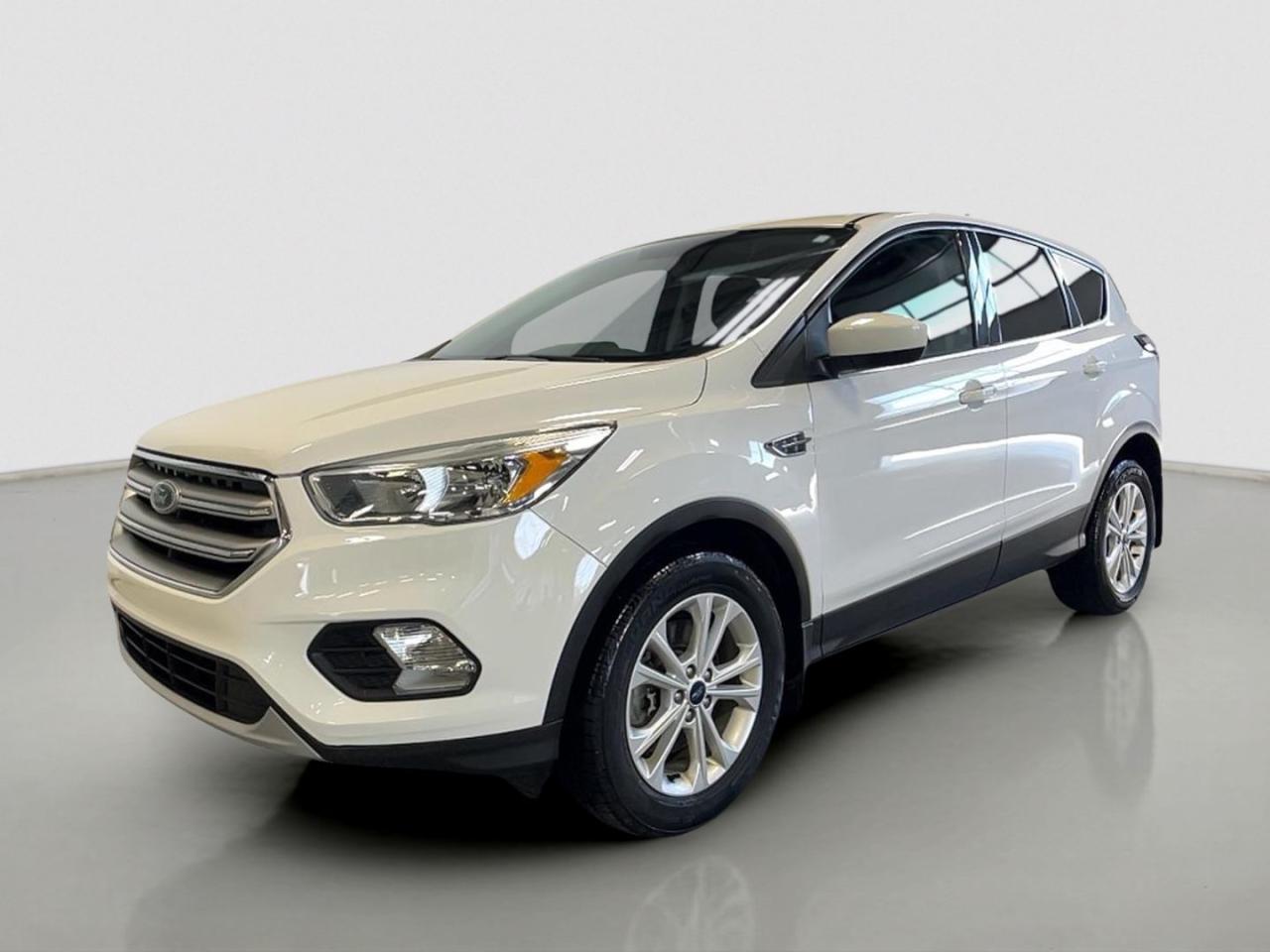 Used 2017 Ford Escape 4WD 4dr SE for sale in Moose Jaw, SK