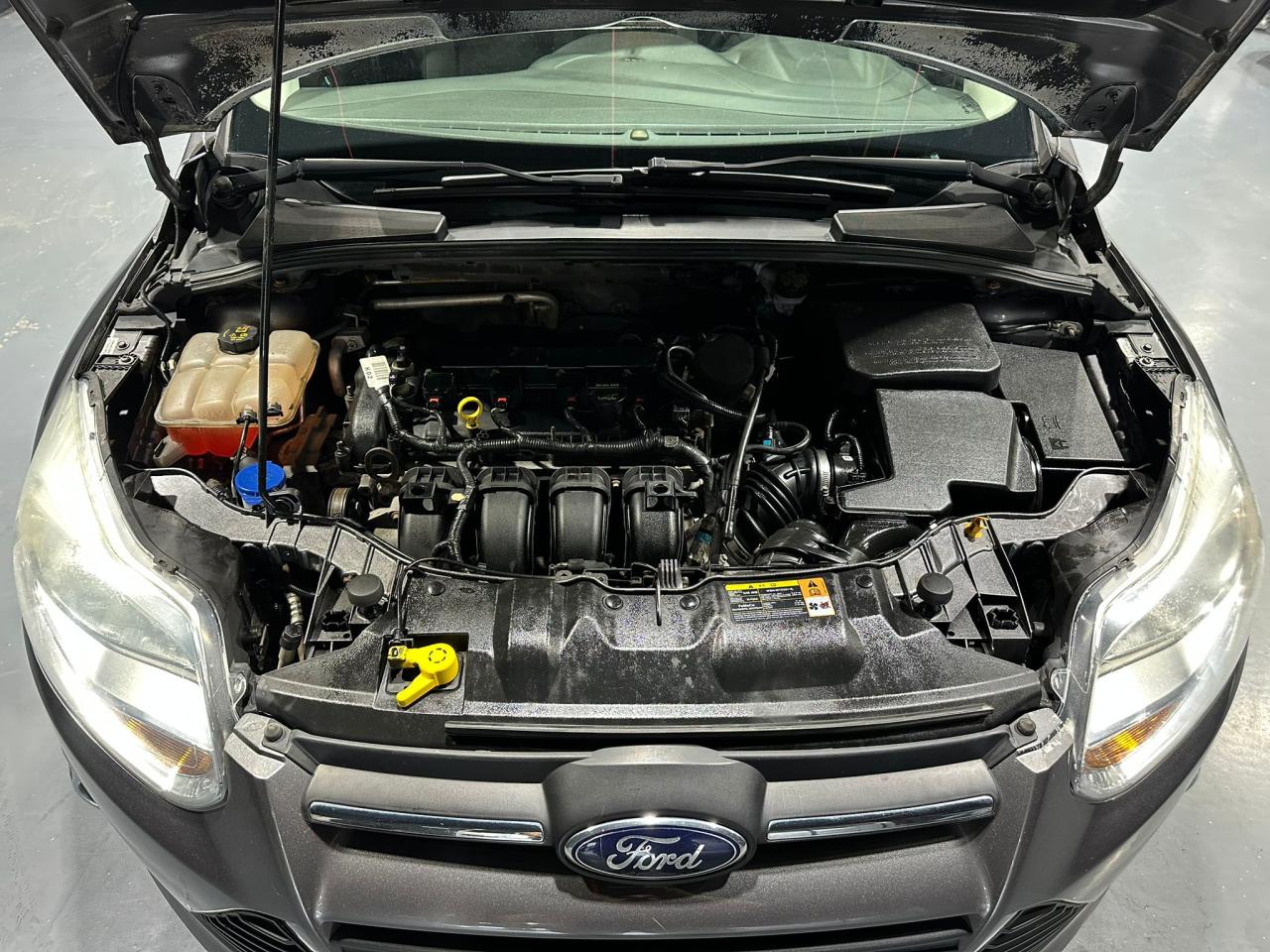 2014 Ford Focus SE - Photo #16