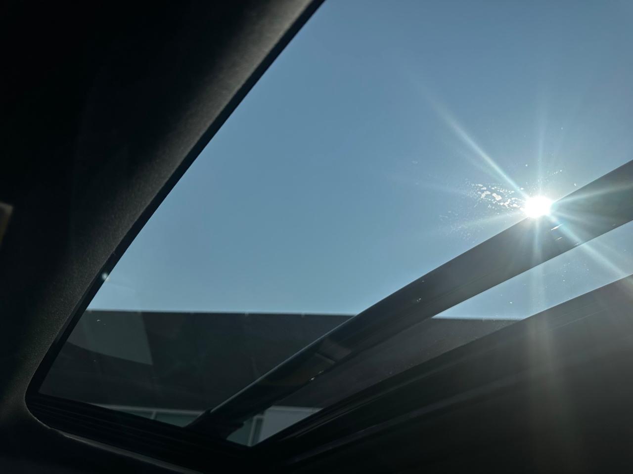 12590044
