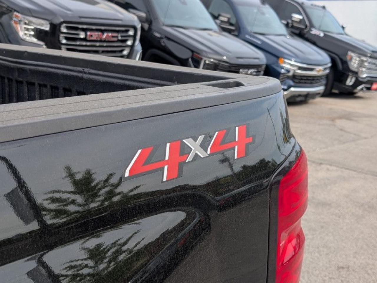 2019 Chevrolet Silverado 1500 LD LT  **TRUE NORTH EDITION** Photo