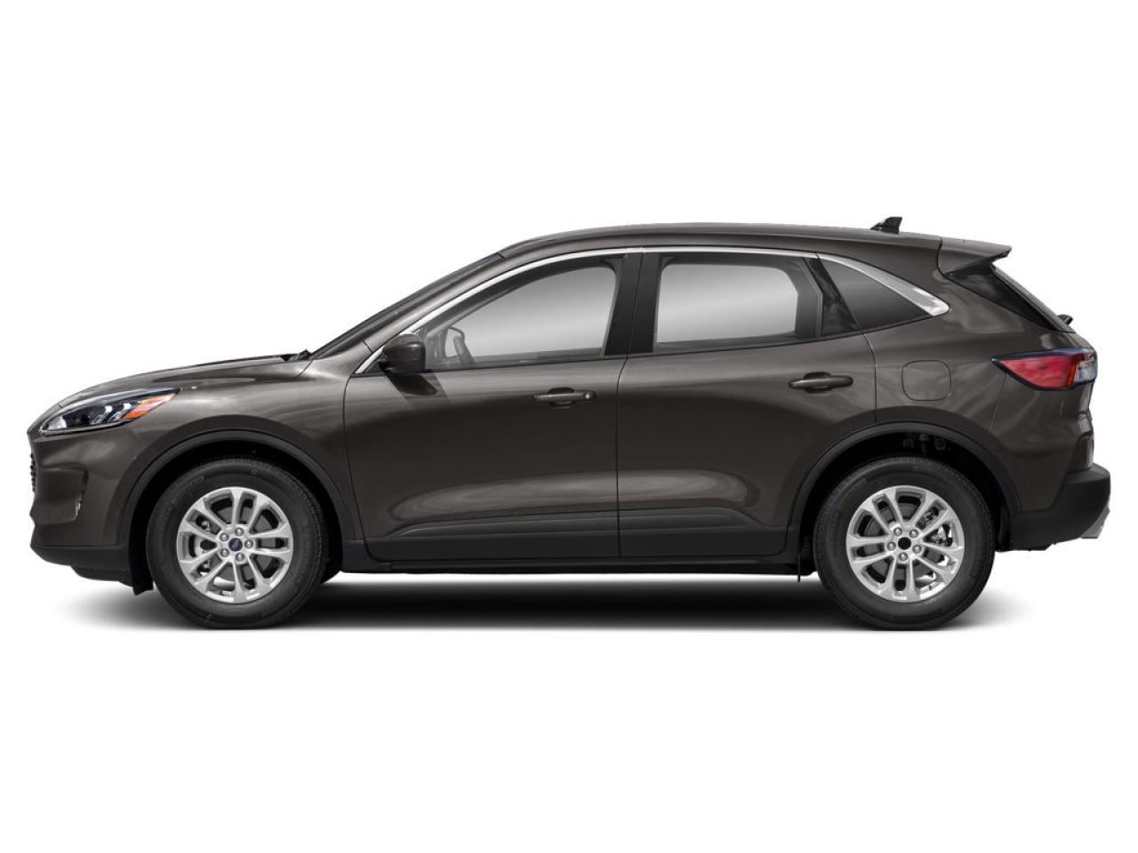Used 2020 Ford Escape SE for sale in Saskatoon, SK