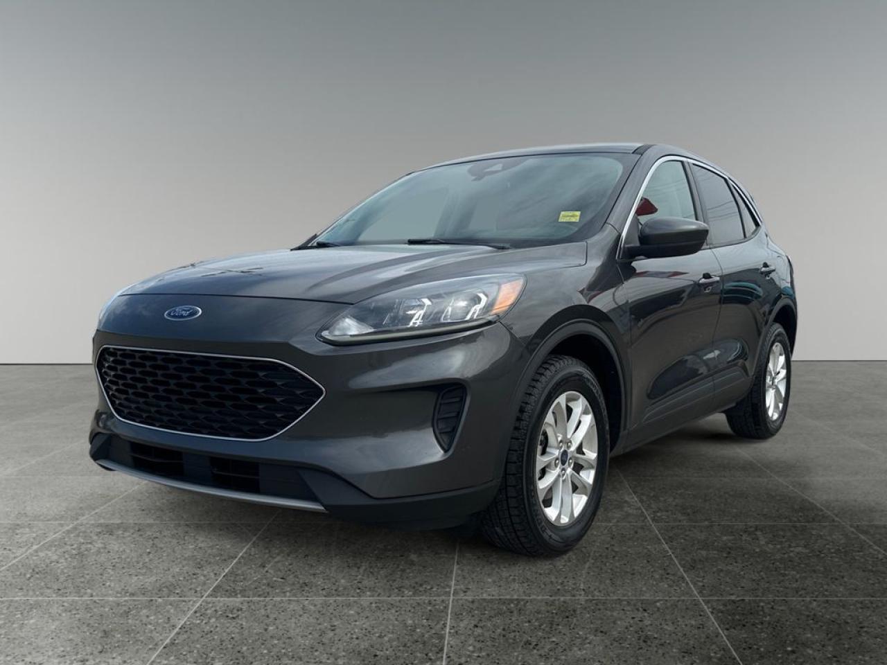 Used 2020 Ford Escape SE for sale in Saskatoon, SK