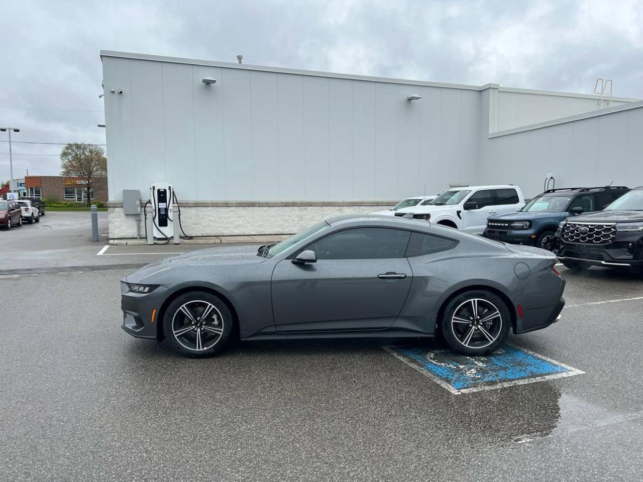 2025 Ford Mustang EcoBoost Premium Fastback Photo2