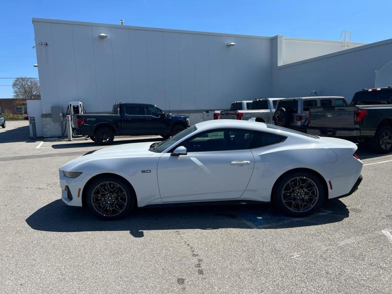 2025 Ford Mustang GT Premium Fastback Photo2