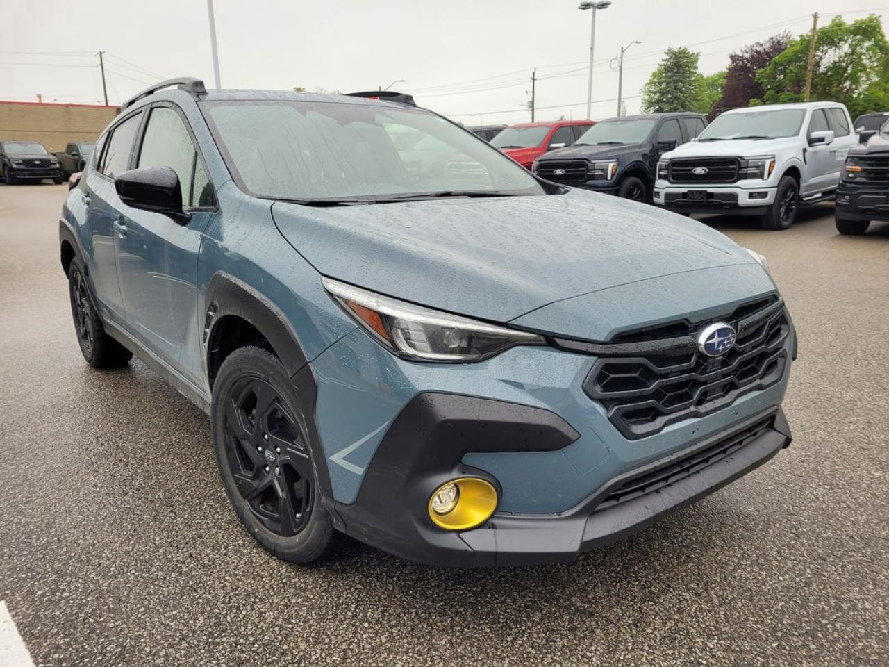 2024 Subaru XV Crosstrek ONYX Photo10