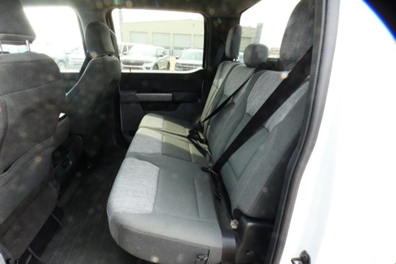2023 Ford F-150 XLT w/Power cloth seats, NAV, BUC - Photo #9