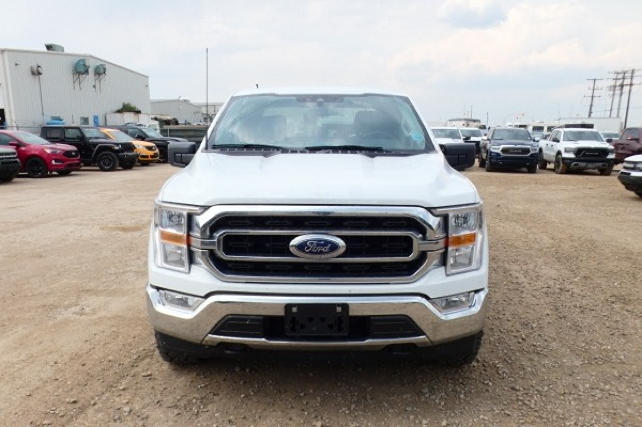 2023 Ford F-150 XLT w/Power cloth seats, NAV, BUC - Photo #3