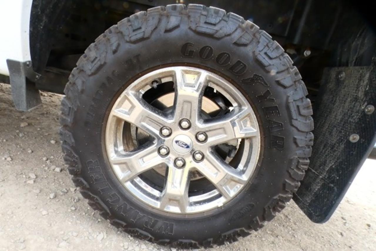 2023 Ford F-150 XLT w/Power cloth seats, NAV, BUC - Photo #18