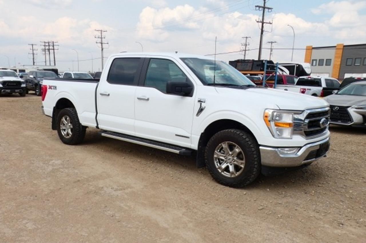 2023 Ford F-150 XLT w/Power cloth seats, NAV, BUC - Photo #4