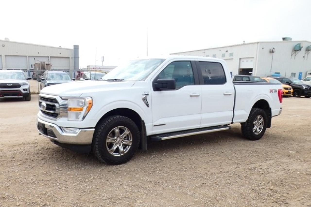 2023 Ford F-150 XLT w/Power cloth seats, NAV, BUC - Photo #2