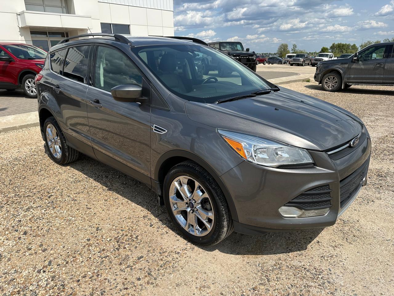 2014 Ford Escape SE Photo