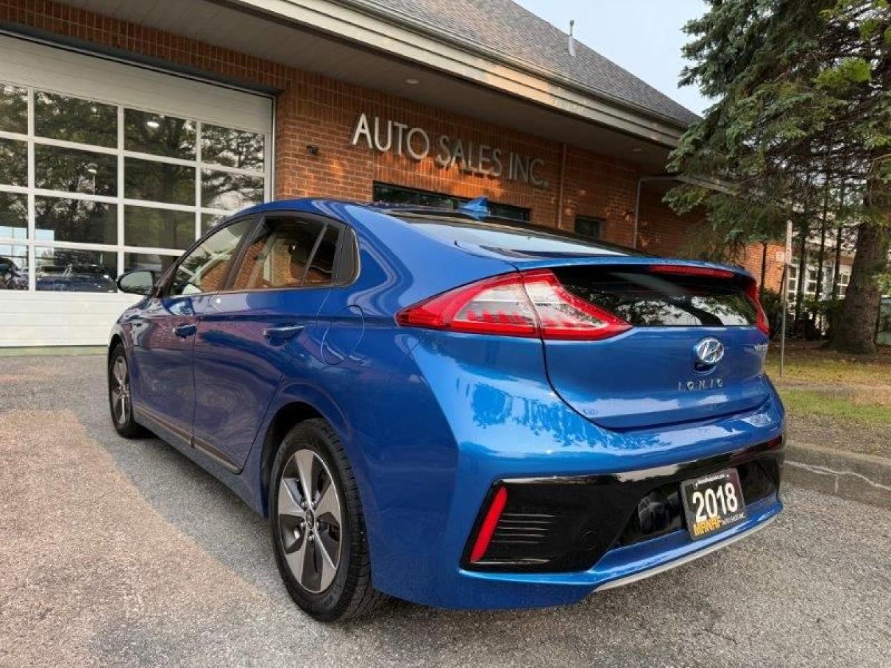 2018 Hyundai IONIQ Limited Electric Photo