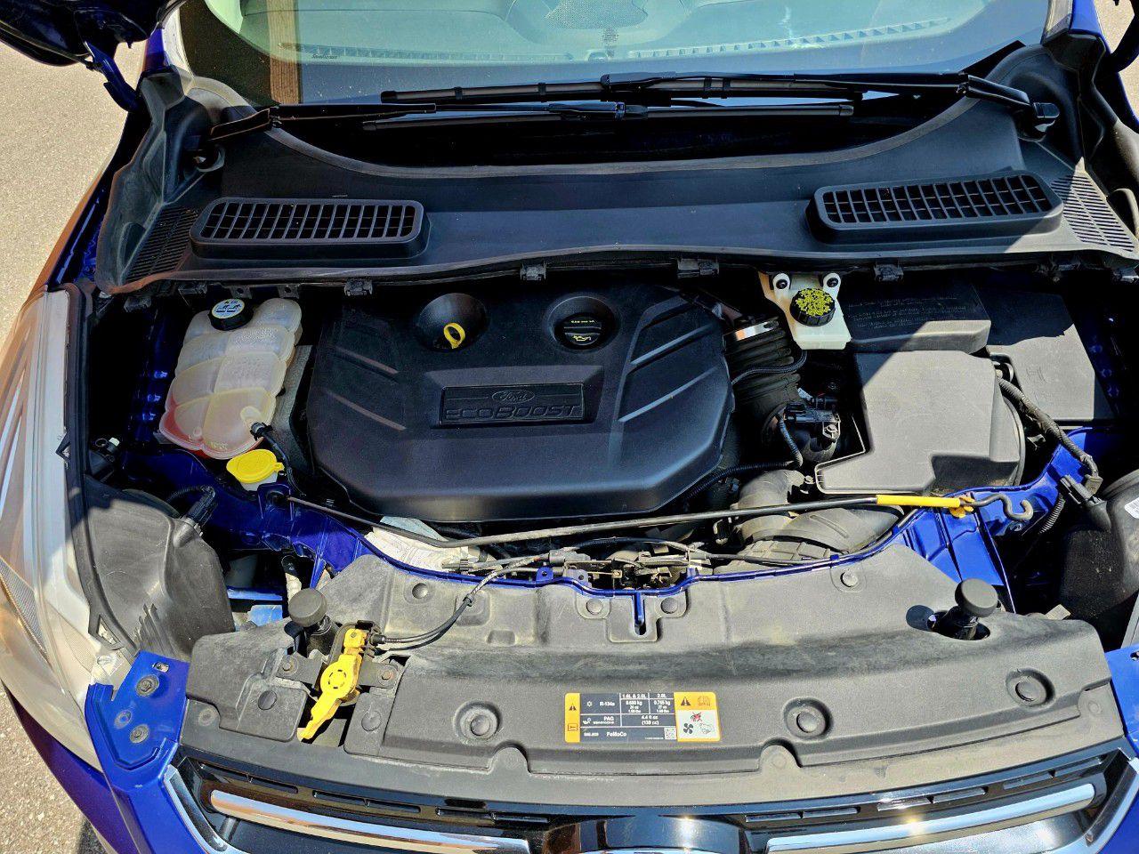 2013 Ford Escape 4WD 4DR SEL - Photo #13