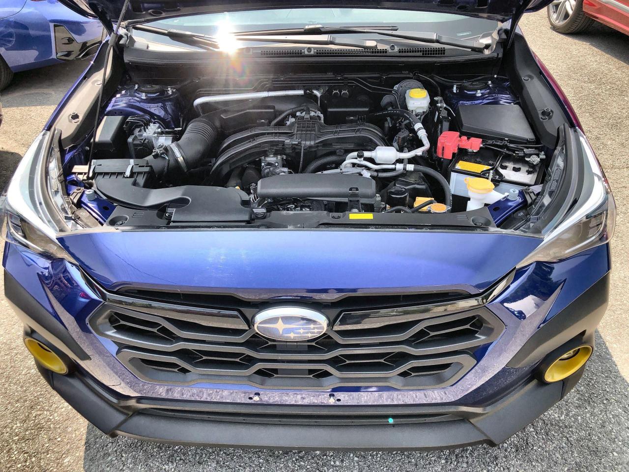 12595822