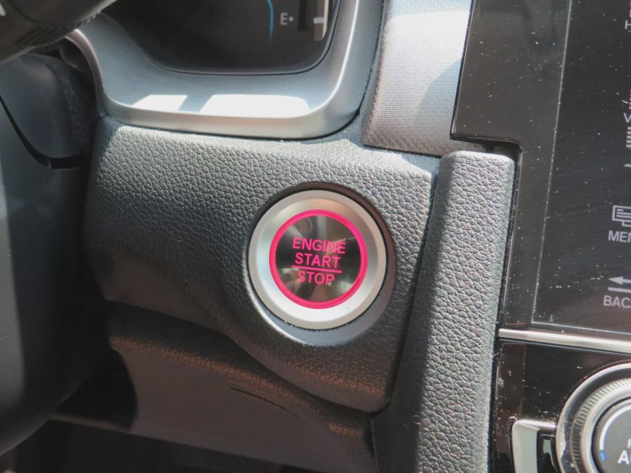 12596032