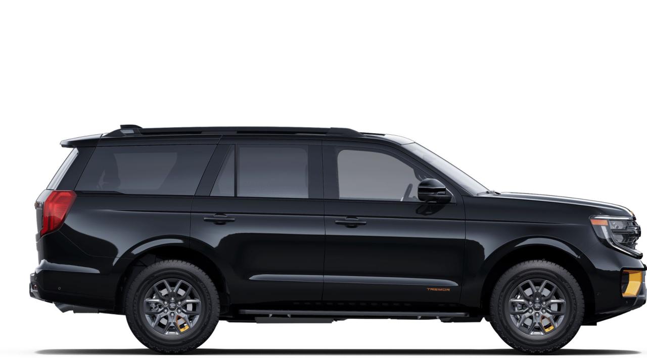 2025 Ford Expedition Tremor Photo4
