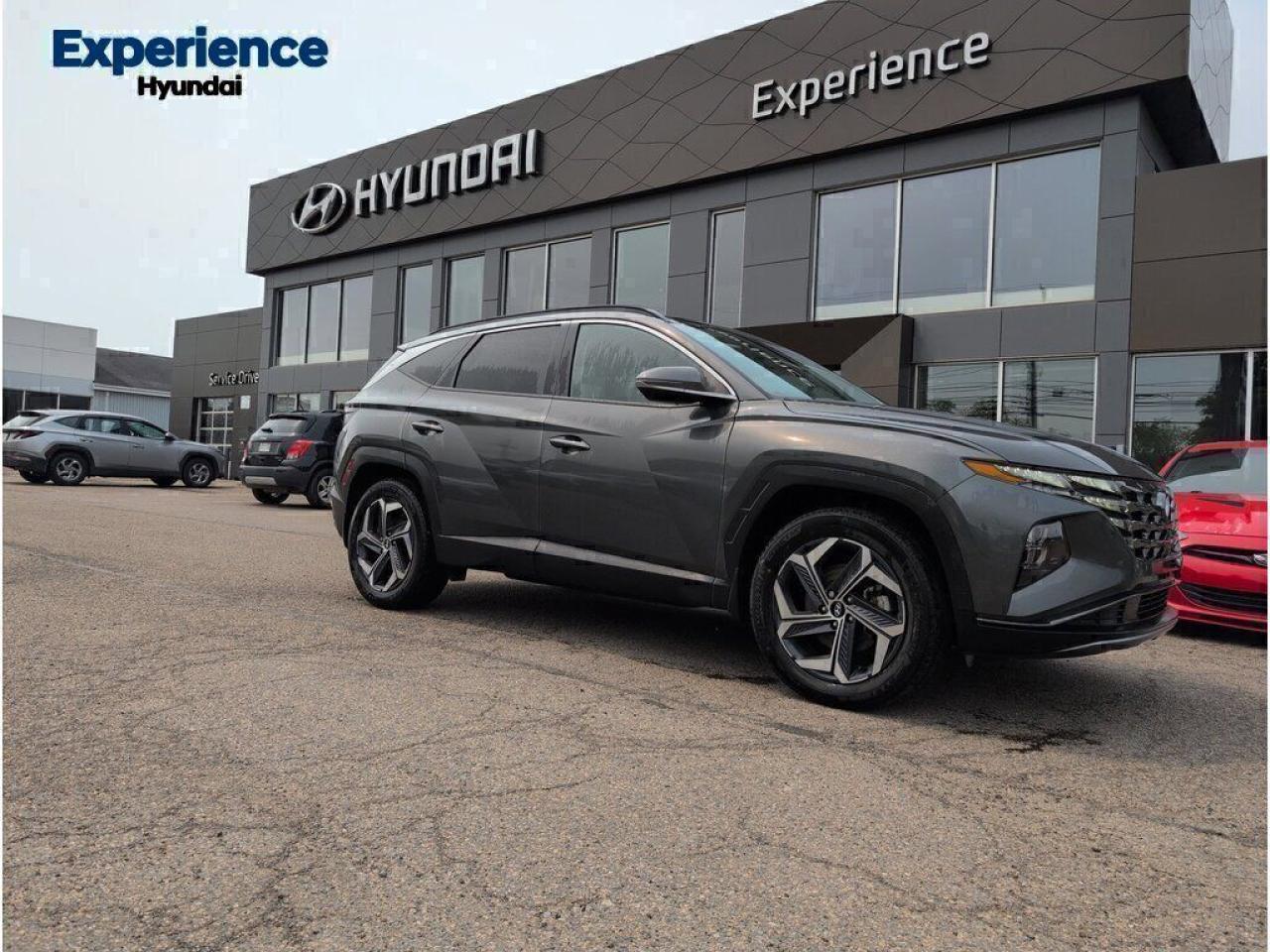 Used 2024 Hyundai Tucson Hybrid Luxury for sale in Charlottetown, PE