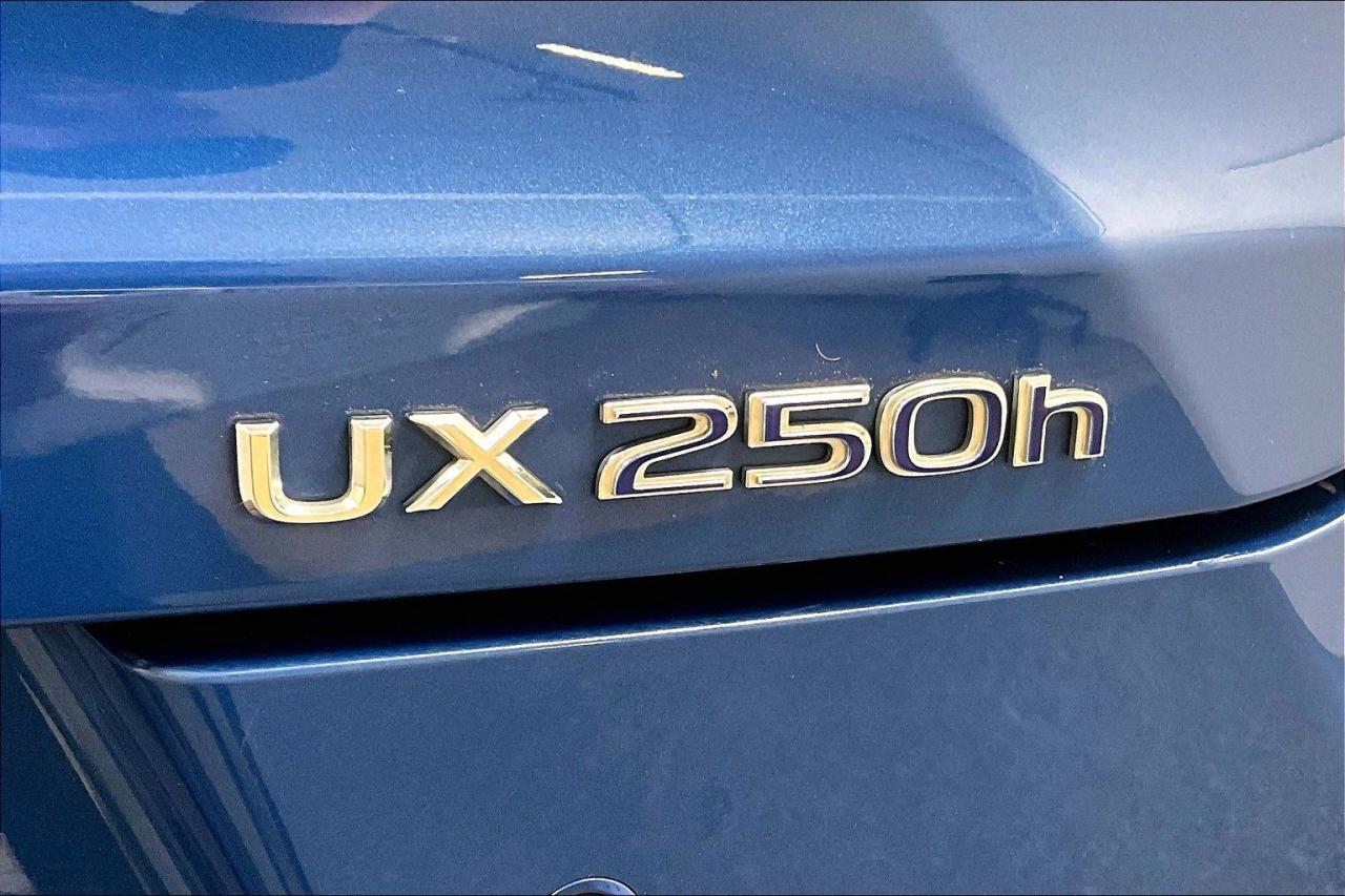 12597916