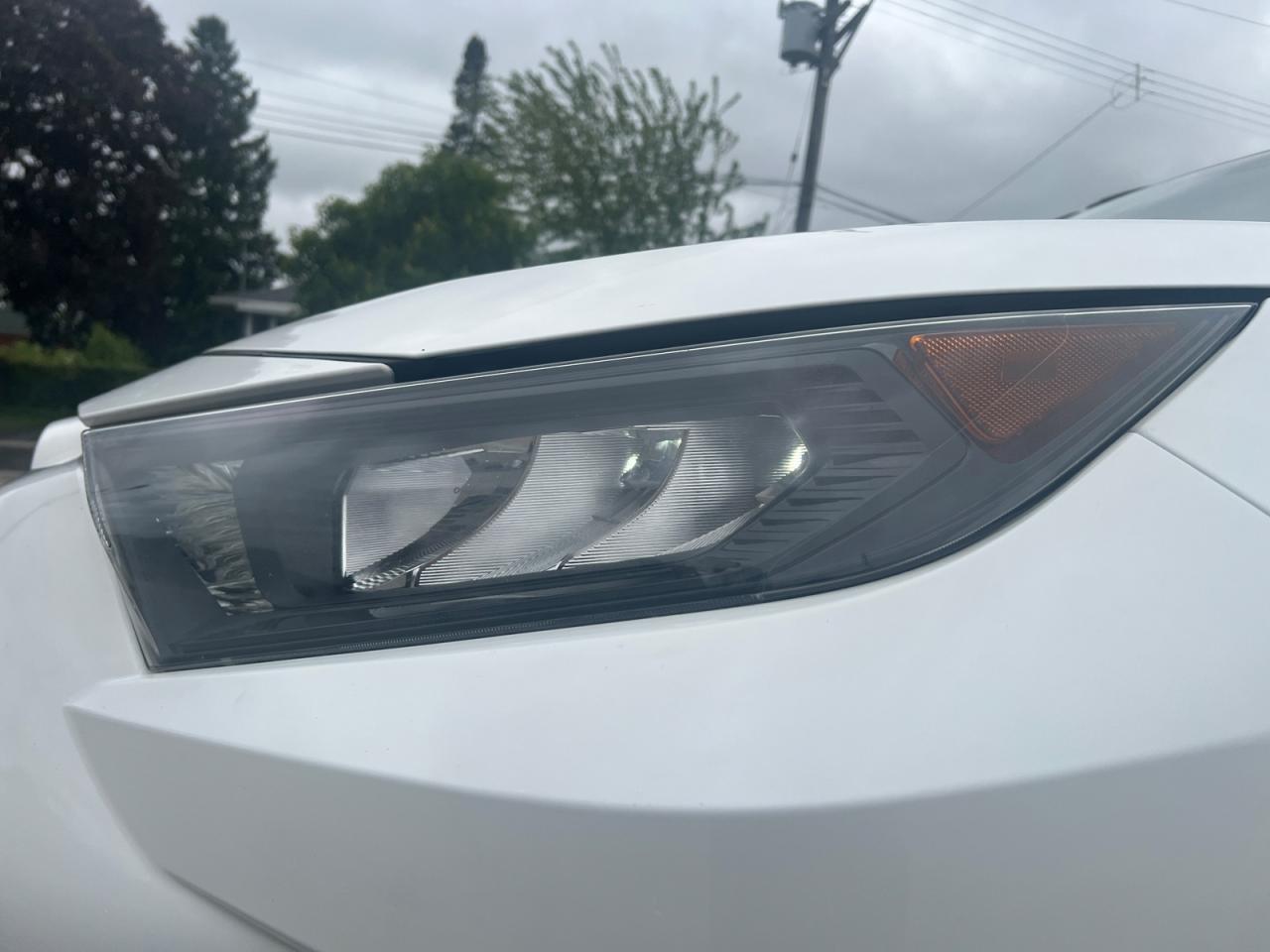 2019 Toyota RAV4 LE AWD Photo