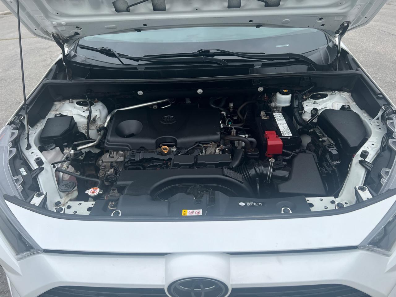 2019 Toyota RAV4 LE AWD Photo