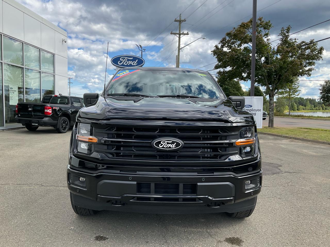 2025 Ford F-150 4x4 Supercrew-145 Photo5