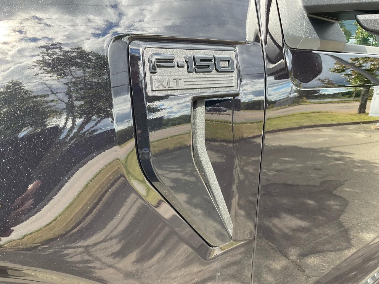2025 Ford F-150 4x4 Supercrew-145 Photo5