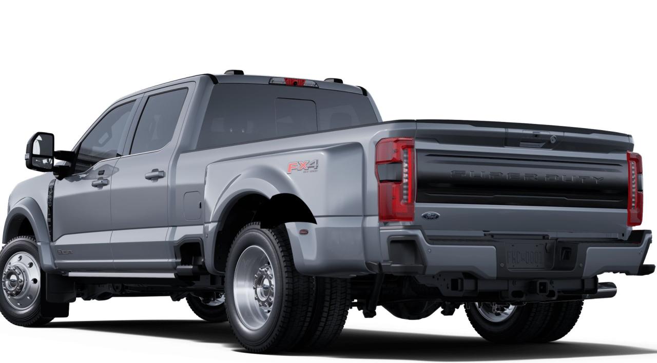 2025 Ford F-450 Super Duty DRW PLATINUM 8' Box 773A Photo
