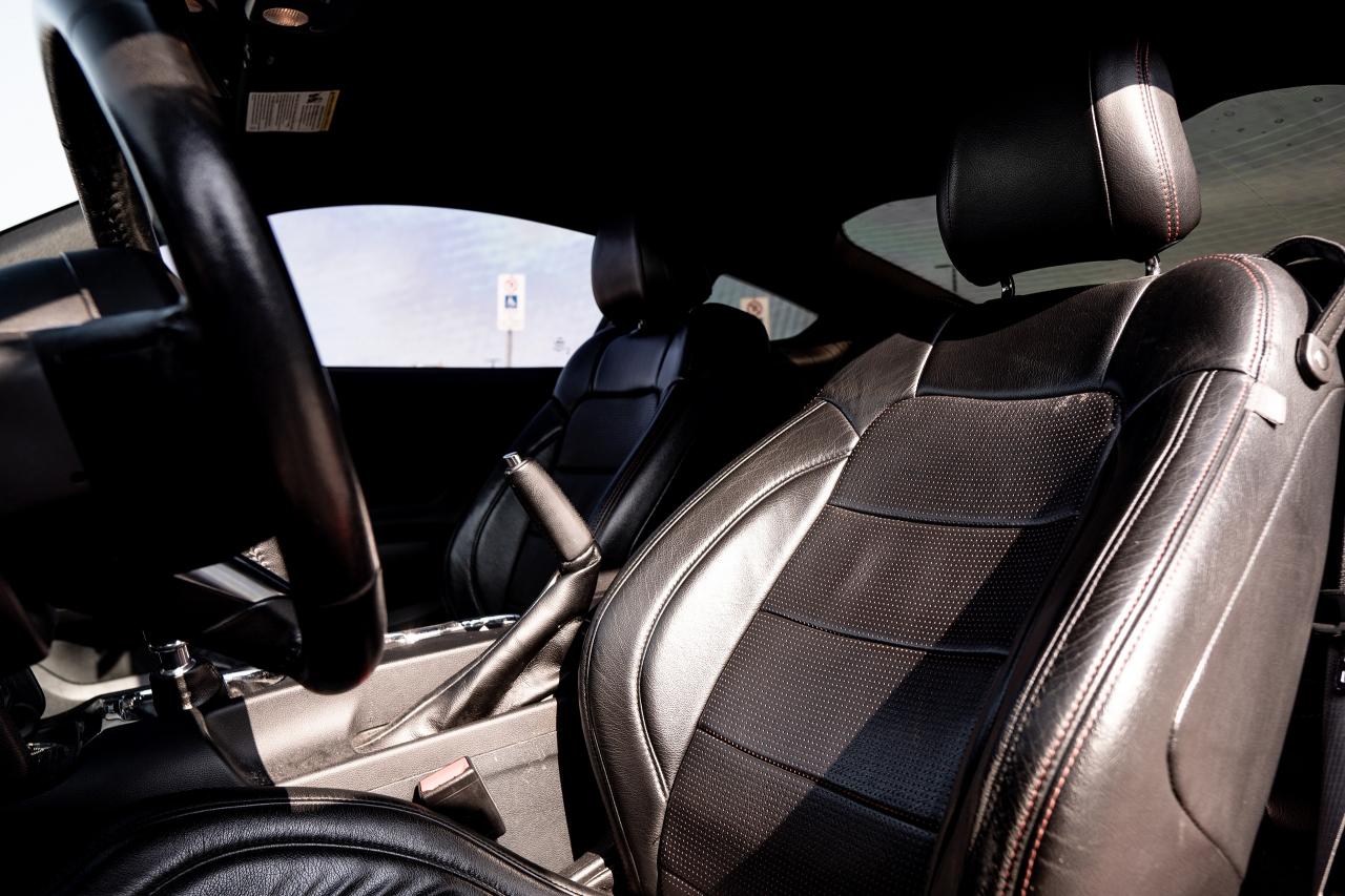 2017 Ford Mustang GT Premium | CLEAN TITLE | - Photo #8