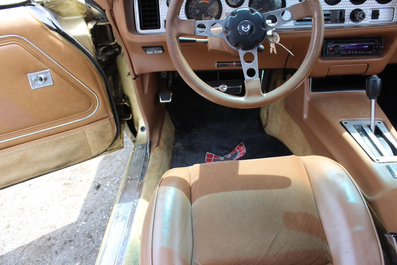 1979 Pontiac Trans Am FIREBIRD Photo4