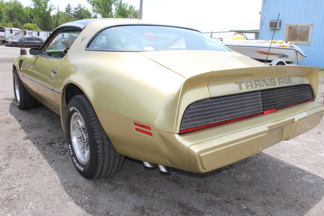 1979 Pontiac Trans Am FIREBIRD Photo3