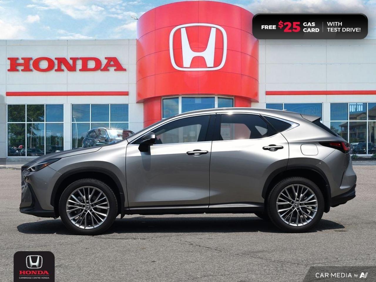 2023 Lexus NX 350 Photo2